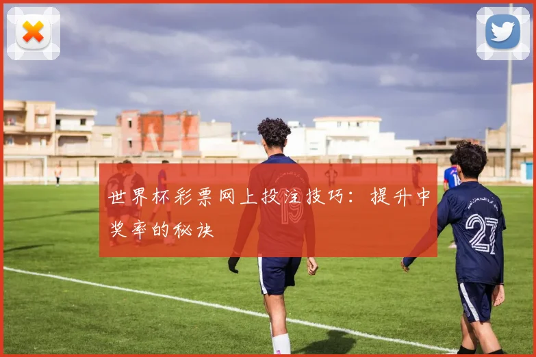 世界杯彩票网上投注技巧：提升中奖率的秘诀