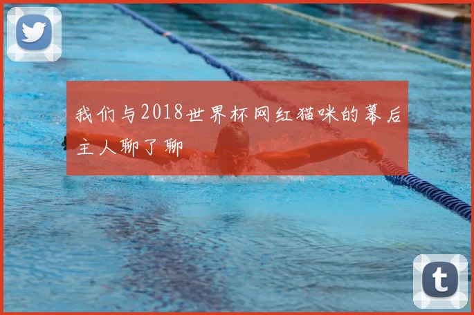我们与2018世界杯网红猫咪的幕后主人聊了聊