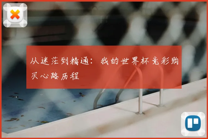 从迷茫到精通：我的世界杯竞彩购买心路历程