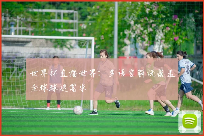 世界杯直播世界：多语言解说覆盖全球球迷需求
