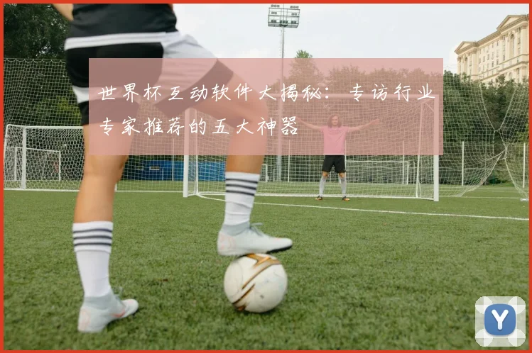世界杯互动软件大揭秘：专访行业专家推荐的五大神器