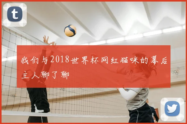 我们与2018世界杯网红猫咪的幕后主人聊了聊