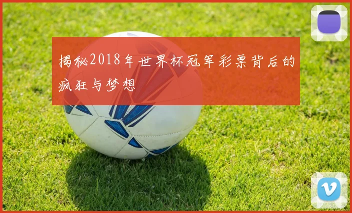 揭秘2018年世界杯冠军彩票背后的疯狂与梦想