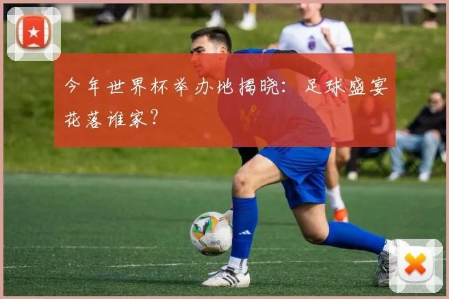 今年世界杯举办地揭晓:足球盛宴花落谁家?