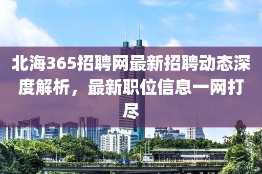 北海365招聘网最新招聘动态深度解析，最新职位信息一网打尽