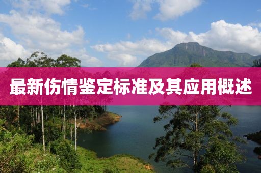 最新伤情鉴定标准及其应用概述