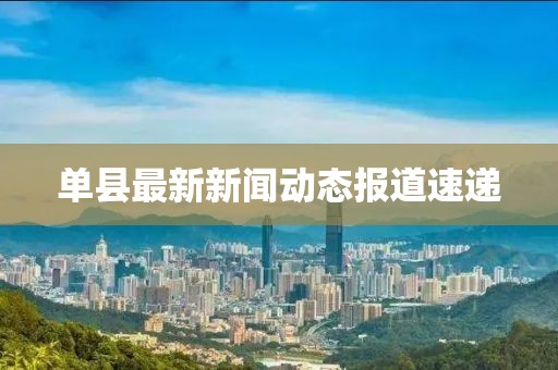 单县最新新闻动态报道速递