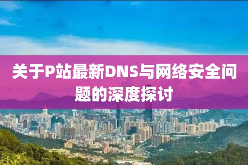 关于P站最新DNS与网络安全问题的深度探讨