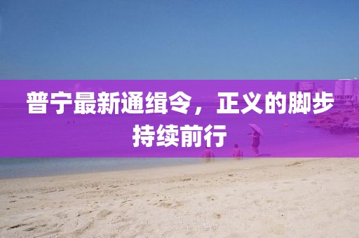 普宁最新通缉令，正义的脚步持续前行