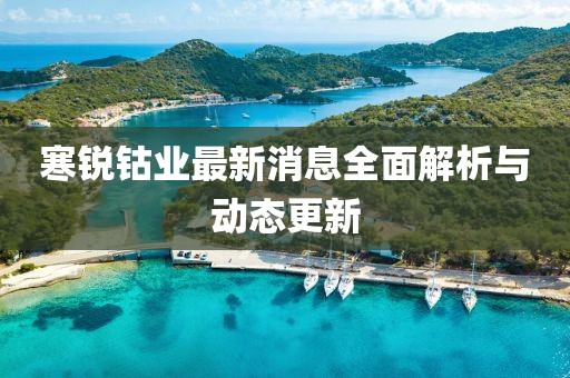 寒锐钴业最新消息全面解析与动态更新