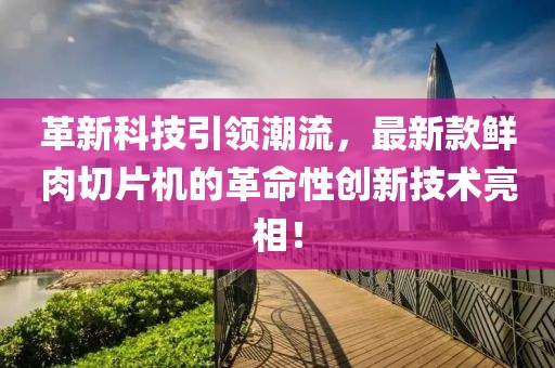 革新科技引领潮流，最新款鲜肉切片机的革命性创新技术亮相！