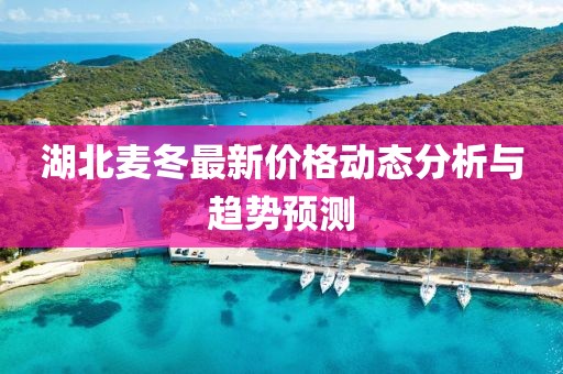 湖北麦冬最新价格动态分析与趋势预测