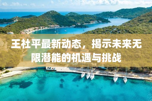 王社平最新动态，揭示未来无限潜能的机遇与挑战