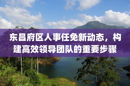 东昌府区人事任免新动态，构建高效领导团队的重要步骤