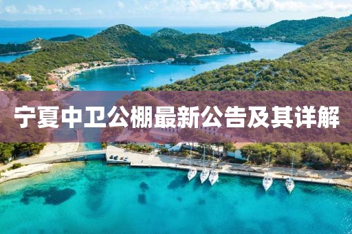 宁夏中卫公棚最新公告及其详解