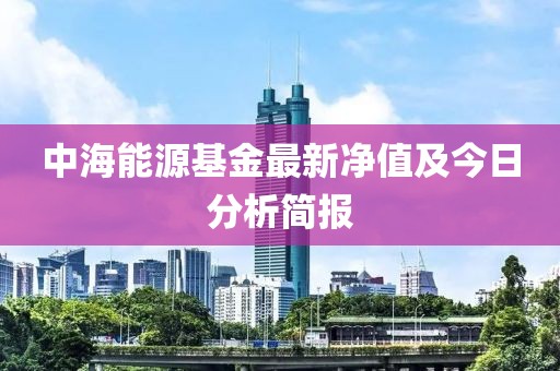 中海能源基金最新净值及今日分析简报