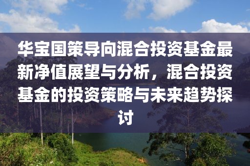 华宝国策导向混合投资基金最新净值展望与分析，混合投资基金的投资策略与未来趋势探讨