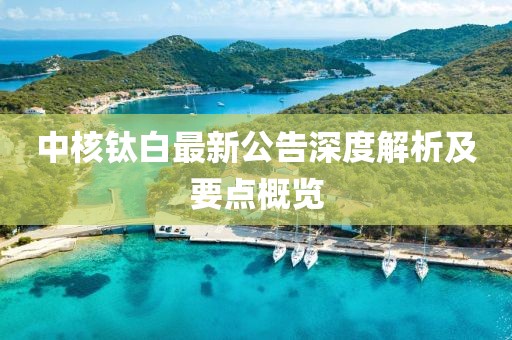 中核钛白最新公告深度解析及要点概览