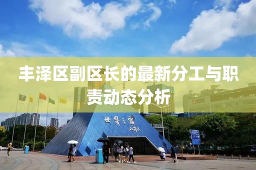 丰泽区副区长的最新分工与职责动态分析