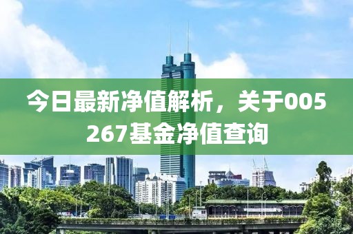 今日最新净值解析，关于005267基金净值查询