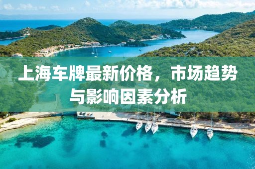 上海车牌最新价格，市场趋势与影响因素分析