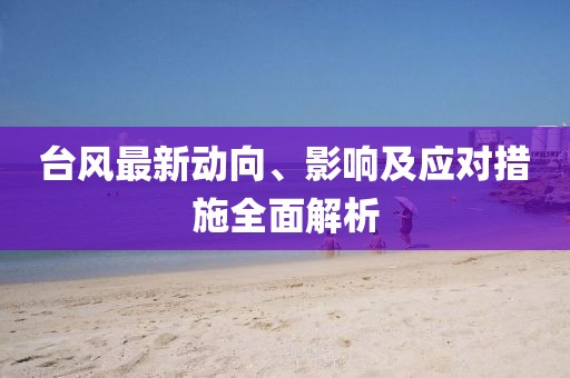 台风最新动向、影响及应对措施全面解析