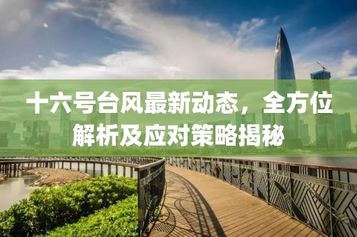 十六号台风最新动态，全方位解析及应对策略揭秘