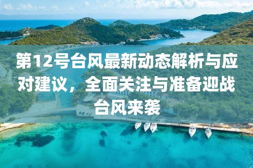 第12号台风最新动态解析与应对建议，全面关注与准备迎战台风来袭