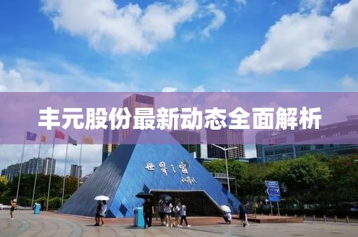 丰元股份最新动态全面解析