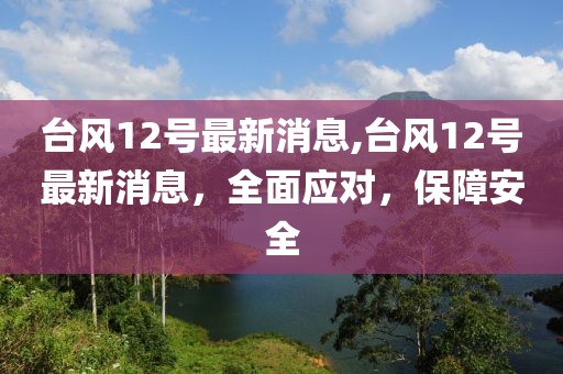 台风12号最新消息,台风12号最新消息，全面应对，保障安全