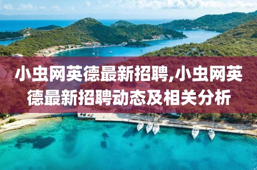 小虫网英德最新招聘,小虫网英德最新招聘动态及相关分析