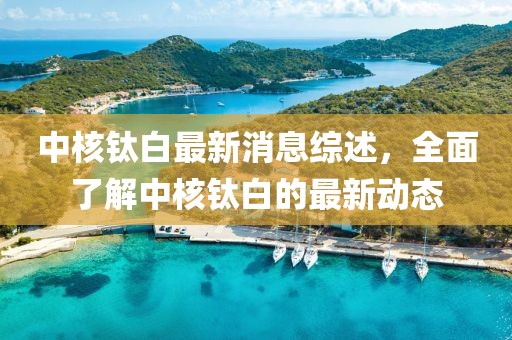 中核钛白最新消息综述，全面了解中核钛白的最新动态