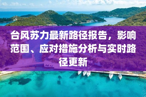 台风苏力最新路径报告，影响范围、应对措施分析与实时路径更新