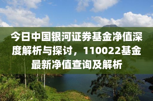 今日中国银河证券基金净值深度解析与探讨，110022基金最新净值查询及解析