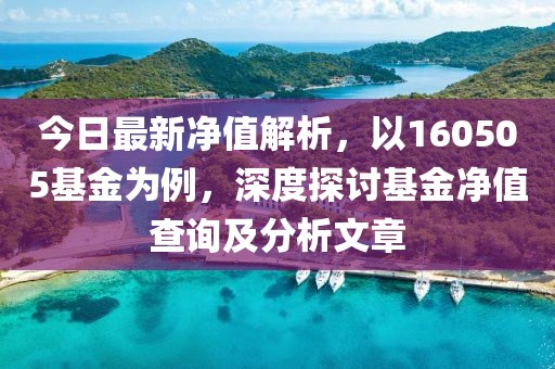 今日最新净值解析，以160505基金为例，深度探讨基金净值查询及分析文章