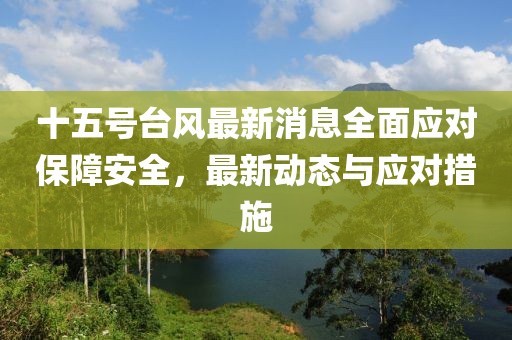 十五号台风最新消息全面应对保障安全，最新动态与应对措施