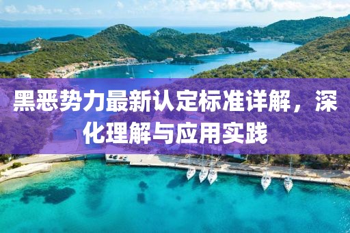 黑恶势力最新认定标准详解，深化理解与应用实践