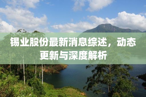 锡业股份最新消息综述，动态更新与深度解析