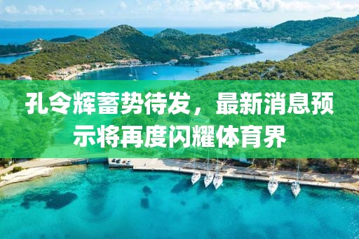 孔令辉蓄势待发，最新消息预示将再度闪耀体育界