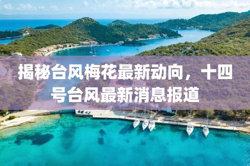 揭秘台风梅花最新动向，十四号台风最新消息报道