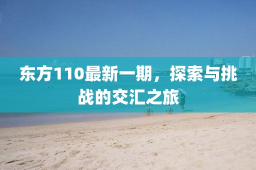 东方110最新一期，探索与挑战的交汇之旅