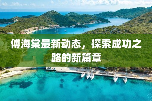 傅海棠最新动态，探索成功之路的新篇章